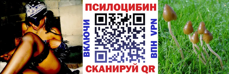 Галлюциногенные грибы GOLDEN TEACHER  Кочубеевское 
